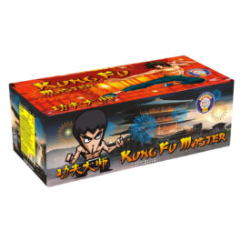 Kung Fu Master Firework