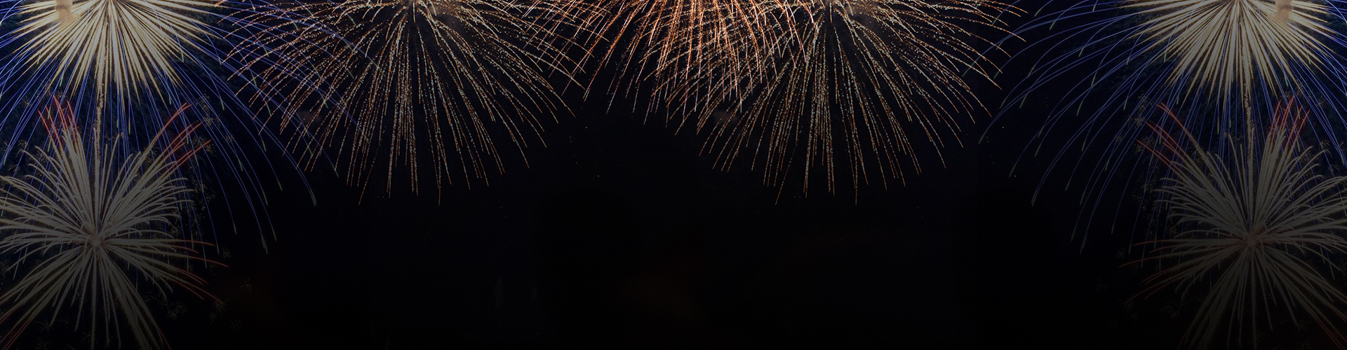 Bright fireworks bursting in the night sky