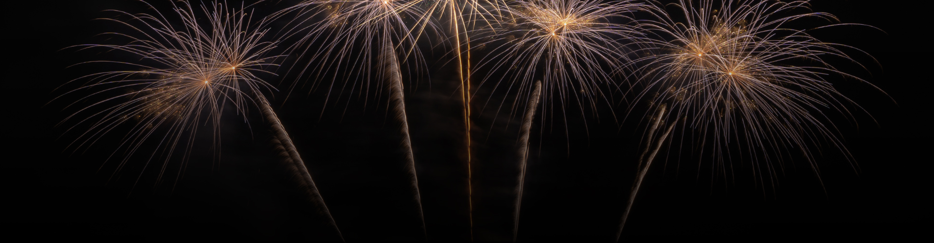 Colorful fireworks exploding in the night sky