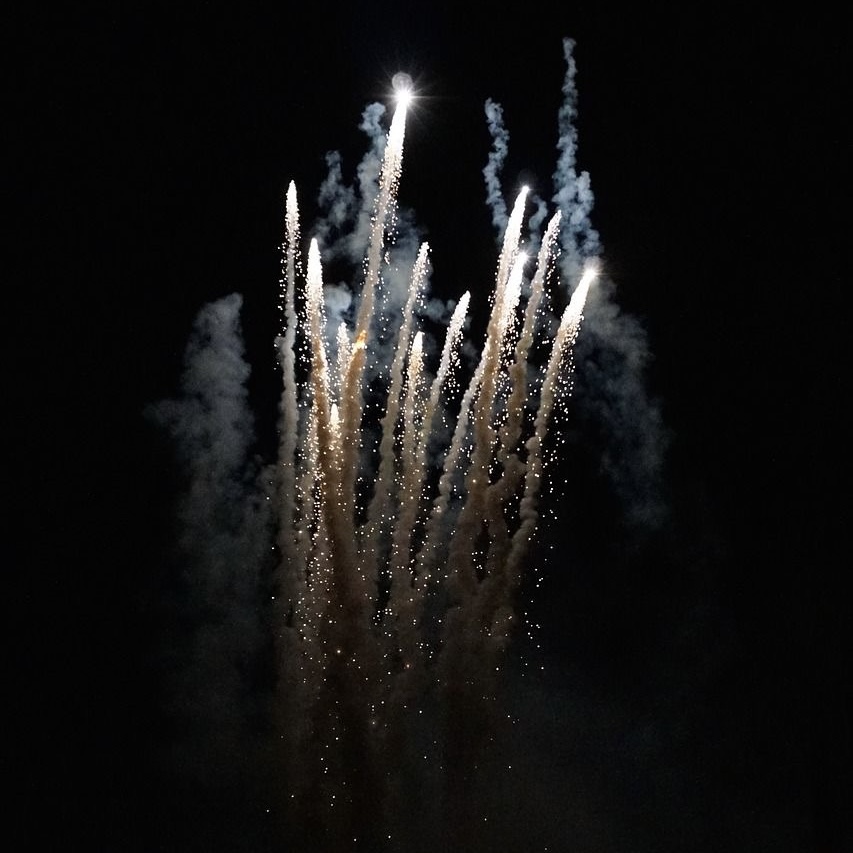 Amazing fireworks light up the dark sky