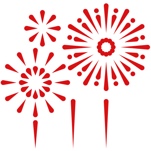 Fireworks display featuring a variety of aerial effects and creative patterns